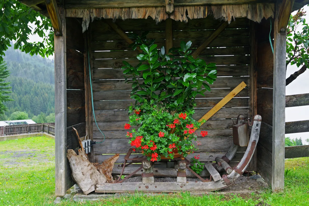 Domek narzędziowy czy altana? Jak wybrać najlepsze rozwiązanie do ogrodu