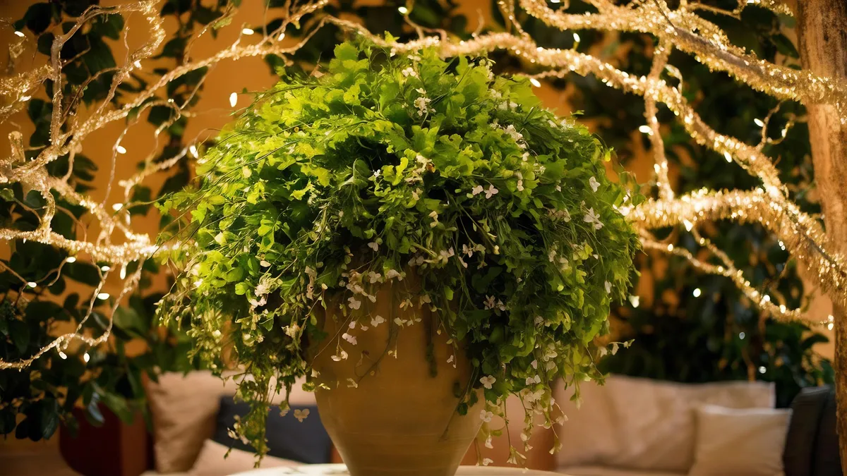 Jakie szybkorosnące rośliny na taras? Pnącza, trawy, krzewy i kwiaty na efekt „zielonego pokoju” w jeden sezon