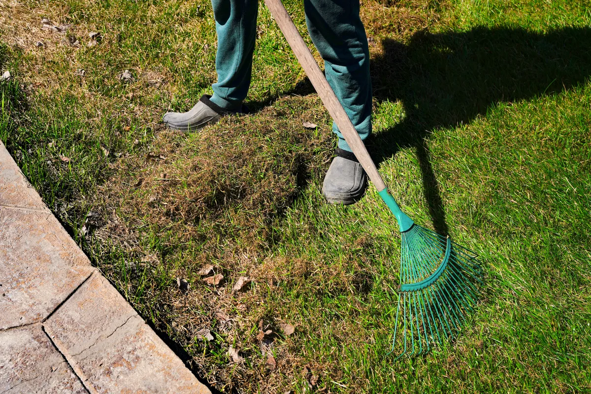 Wertykulacja trawnika w marcu krok po kroku – kompletna checklista i instrukcja